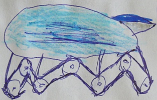 squid mobile